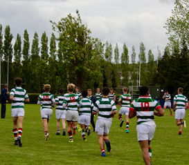 乐鱼(中国)体育官方网站-公牛队迎来历史性胜利,士气爆棚,公牛 队